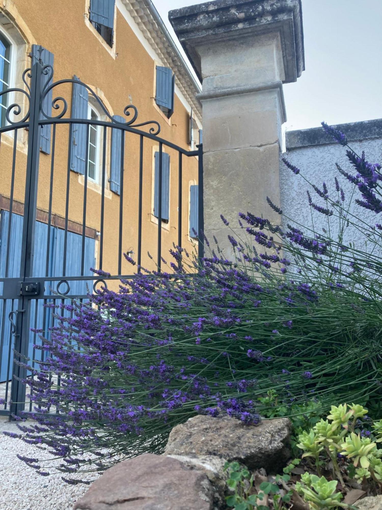 Domaine Forvent Bed and Breakfast Saint-Julien-de-Peyrolas Eksteriør billede